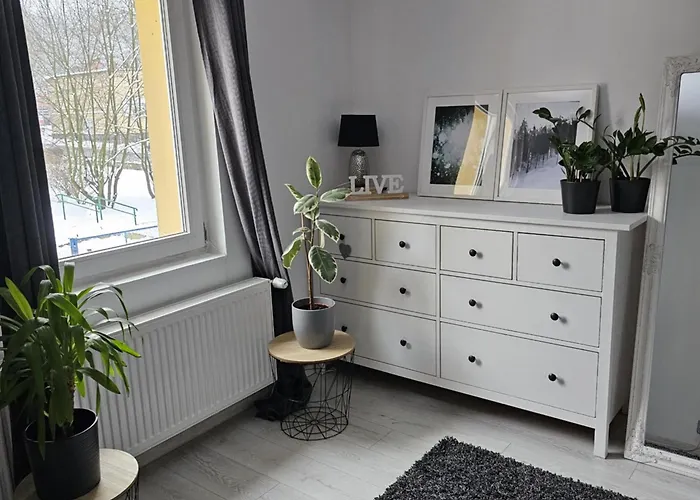 Apartament 41
