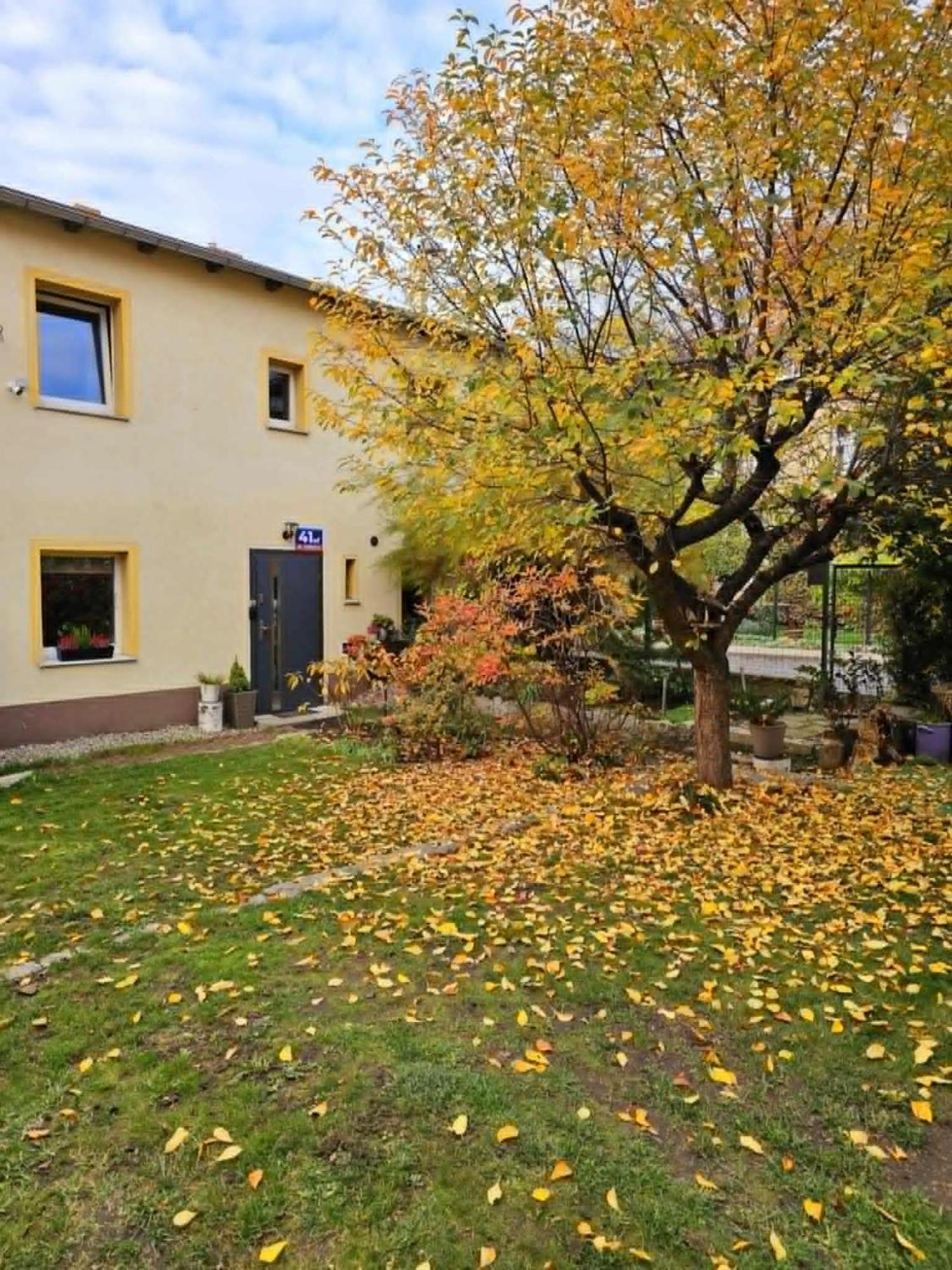 41 Apartment *